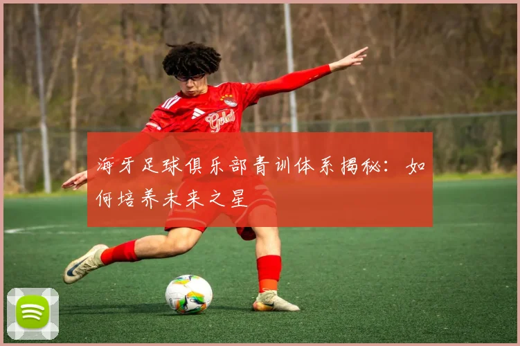 海牙足球俱乐部青训体系揭秘：如何培养未来之星