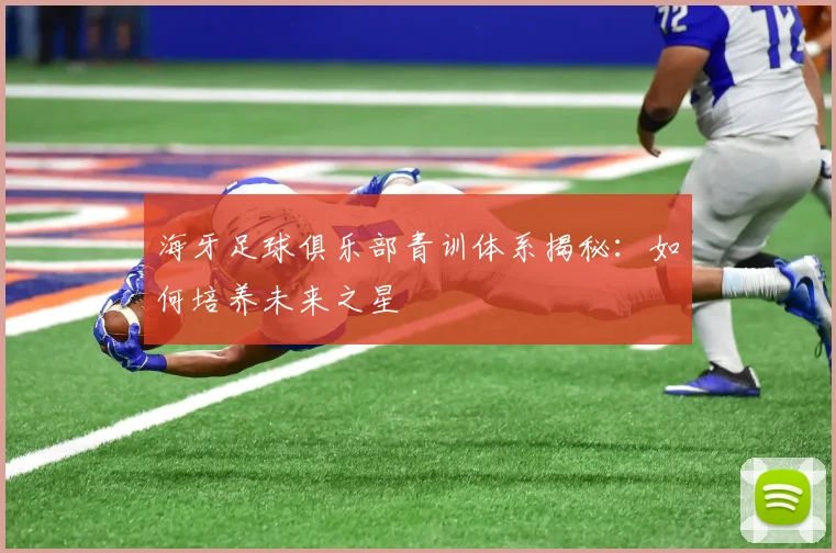 海牙足球俱乐部青训体系揭秘:如何培养未来之星