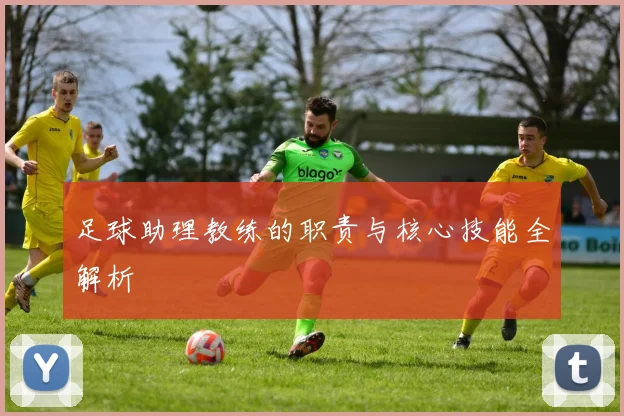 足球助理教练的职责与核心技能全解析